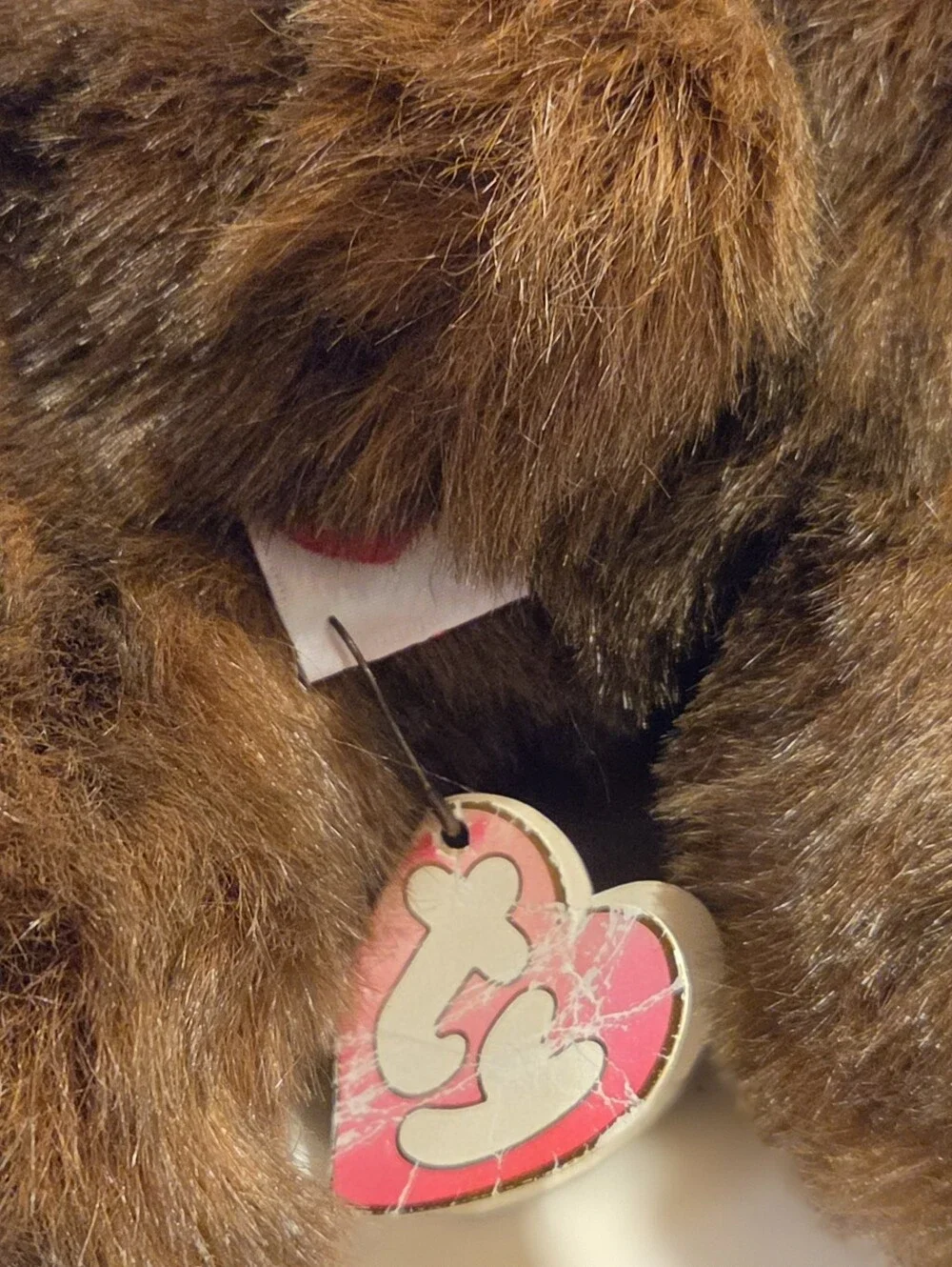 Ty beabmnievbuddy baby
